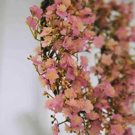 Rosa D'incanto 度假居 *
